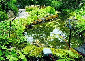 The Velda Pond Protector