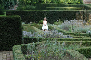 An old fashioned herb garden