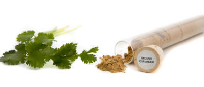 Coriander leaves and seeds