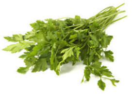 Flat Leaf Parsley - Italian