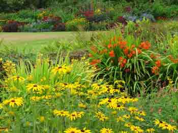 Herbaceous border