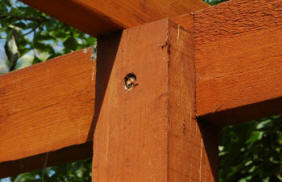 Pergola fastenings - details in image