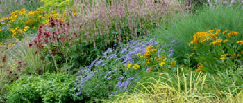 Beth Chatto Planted Border