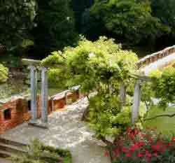 Regular pruning of this wisteria to allow public access through the archway