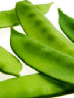Nice pea pods - ready for the pot
