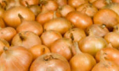 Perfect onions - from seeds or sets