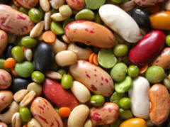 A good selection of self-saved vegetable seeds